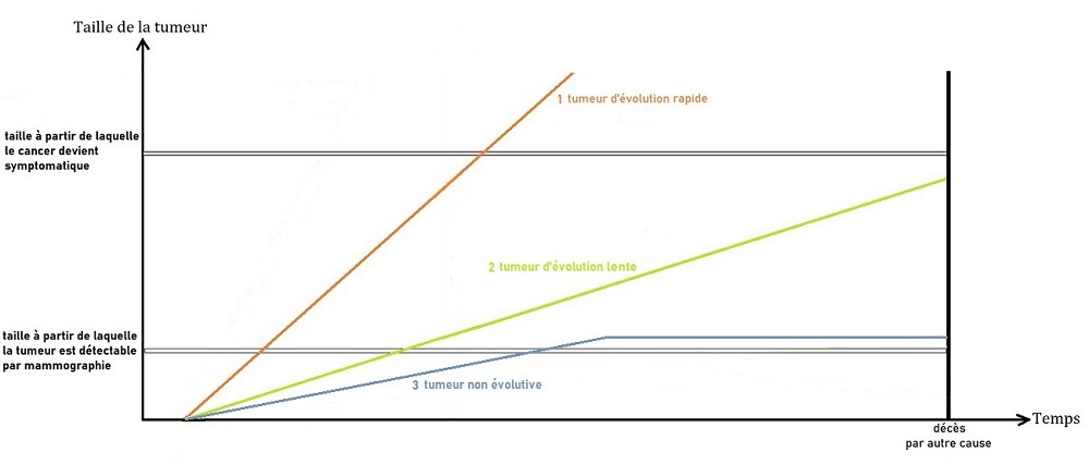 Schéma de l'évolution des cancers