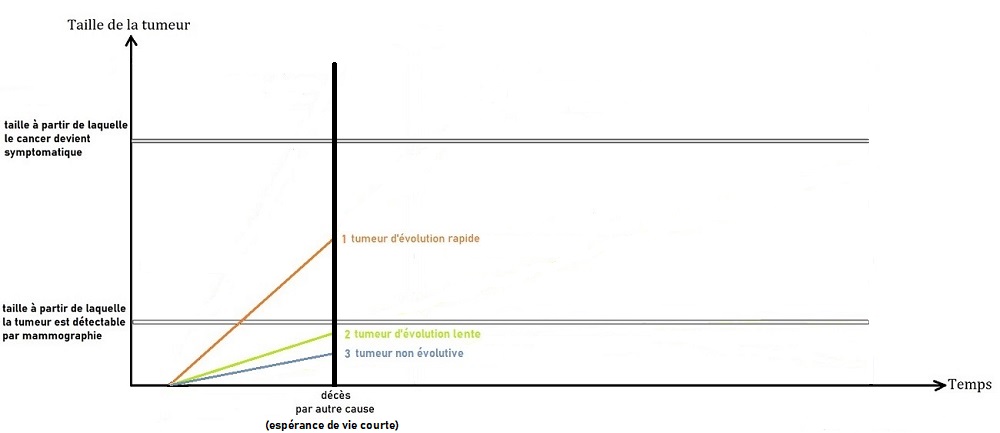 Schéma de l'évolution des cancers